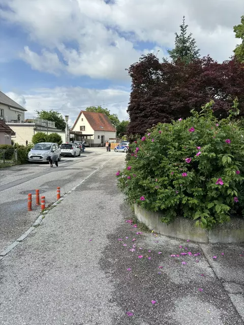 Foto: Bachmayer/MeinBezirk
