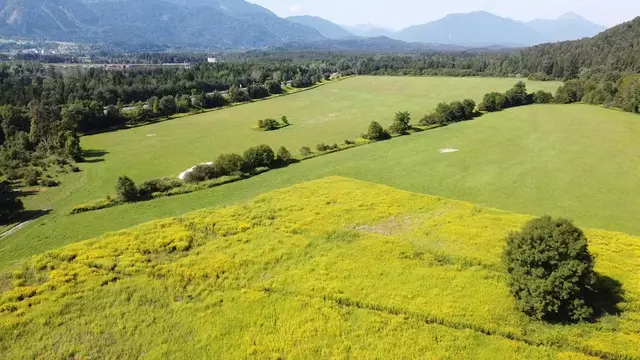 Auf den Federauner Feldern sollen nach den Plänen der Stadt Villach insgesamt mehr als 18 Hektar verbaut werden.  | Foto: Rett' ma die Schütt