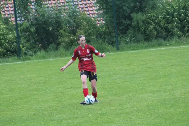 Foto: Meinbezirk Perg/Köck