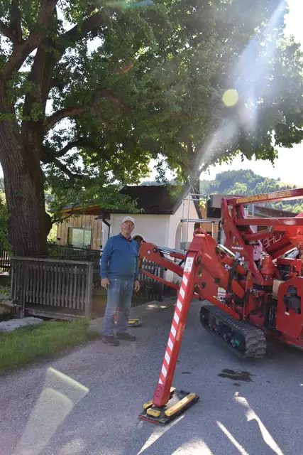 "Streuobsterhaltung Mostviertel": Mit seinem Verein setzt sich der Landwirt Engelbert Wieser aus Randegg für den Erhalt der uralten Mostbirnbäume in unserer Region ein. | Foto: Roland Mayr/MeinBezirk Scheibbs