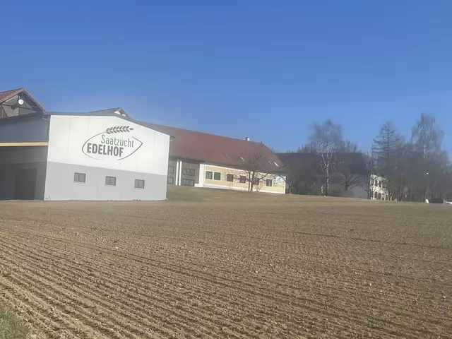 Schule Edelhof | Foto: Schabauer