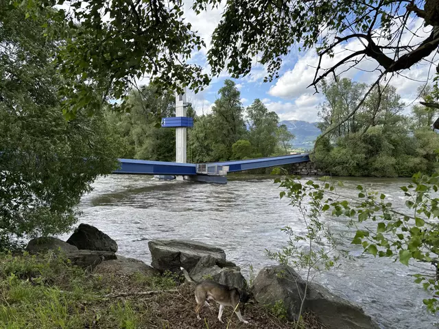 Die Schwimmbrücke ist ein gutes Fotomotiv und leicht zu erreichen. | Foto: MeinBezirk/Gerold