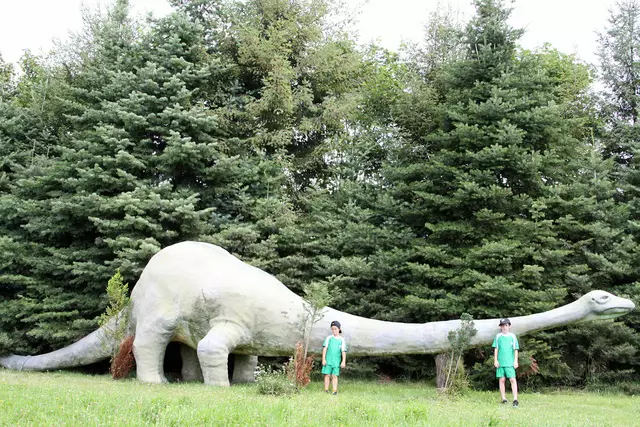 Wir zeigen Ihnen eine Vielzahl von lebensgroßen Dinosauriern, welche direkt in unserem Wald untergebracht sind.