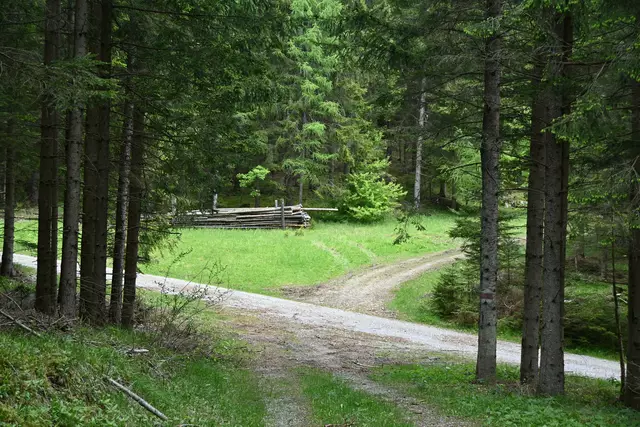 Hier dann rechts , gerade aus kommt man...