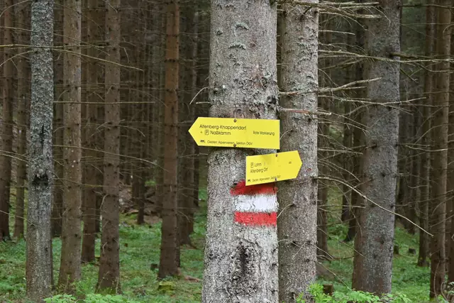 Hier ging ich links übers Knappendorf nach Altenberg zurück