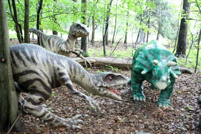 Besuchen Sie unseren einzigartigen Dinosaurierwald mit der Urzeitschau. 
