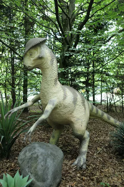 Wir versetzen Sie in die damalige Zeit zurück und zeigen Ihnen eine Vielzahl von lebensgroßen Dinosauriern welche direkt in unserem Wald untergebracht sind.