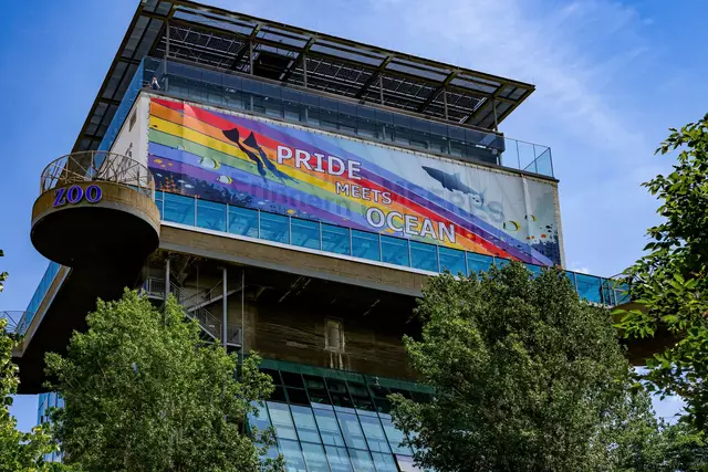 Die größte Regenbogenfahne Wiens hängt auch dieses Jahr wieder über der Australienanlage im Haus des Meeres. | Foto: Haus des Meeres