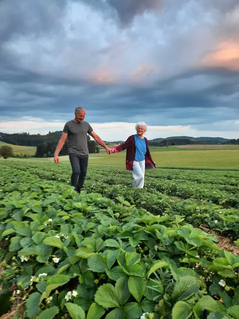 In Oepping bieten Gabriele und Alois Reindl Bio-Erdbeeren zum Selberpflücken.   | Foto: Reindl