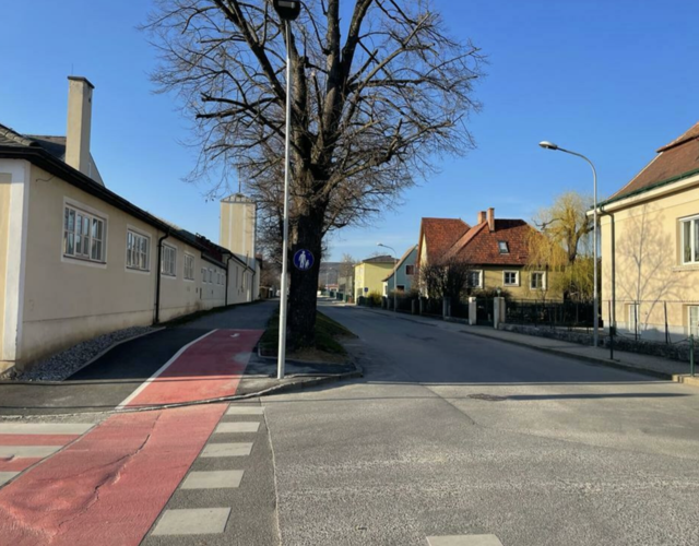 Ein Radweg in der Horner Innenstadt über den sich die Radfahrer sehr freuen. | Foto: MeinBezirk Horn