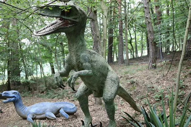 Besuchen Sie unseren einzigartigen Dinosaurierwald mit der Urzeitschau. 
