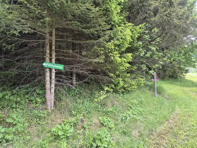 Hier kommt man herunter