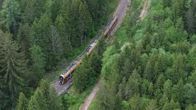 Für die Feuerwehr war auch die Rettung der im Fahrzeug eingeklemmten Personen mittels hydraulischer Rettungsgeräte in schwierigem
Gebiet eine Herausforderung. | Foto: FF Mariazell