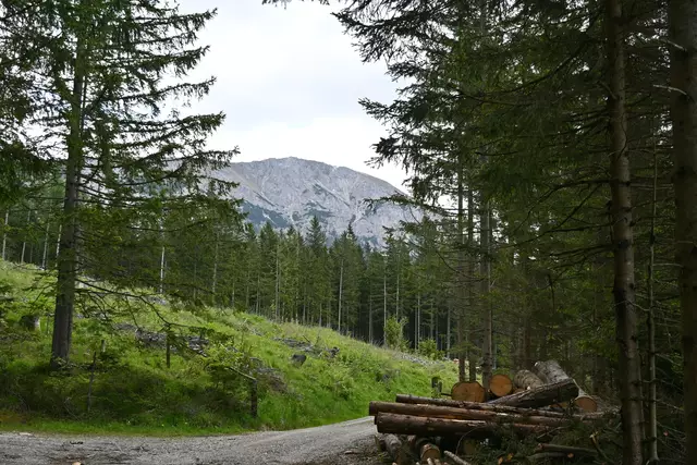 Auf der anderen Seite liegt die Rax, hinten Heukuppe