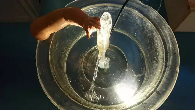 Beispiel aus Margit Buschs Installation "The soul is fluid" | Foto: Margit Busch; Foto (c) Michael Bachhofer