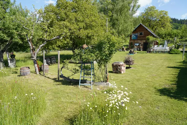 In seinem Garten lässt er kleine Inseln aus heimischen Blumen, wie Margeriten, stehen. Im Vordergrund zu sehen ist auch der umgefallene Baum, mit Rosen und Leiter dekoriert.