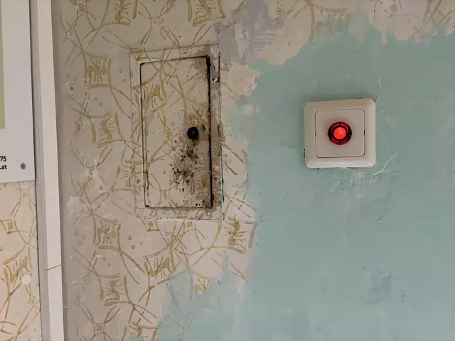 Im Stiegenhaus des Gemeindebaus.  | Foto: Lisa Kammann/MeinBezirk