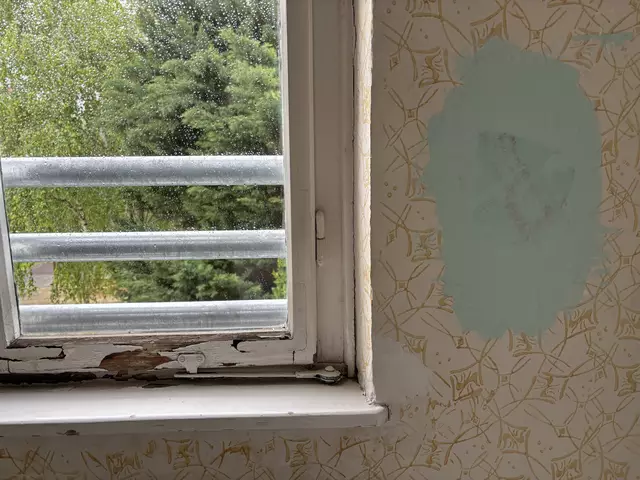 Auch das Stiegenhaus und die Fenster sollen bei der Sanierung erneuert werden.  | Foto: Lisa Kammann/MeinBezirk