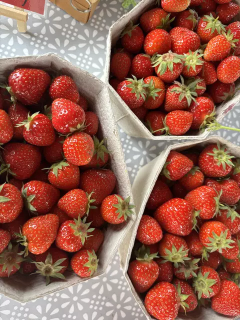 Foto: MeinBezirk