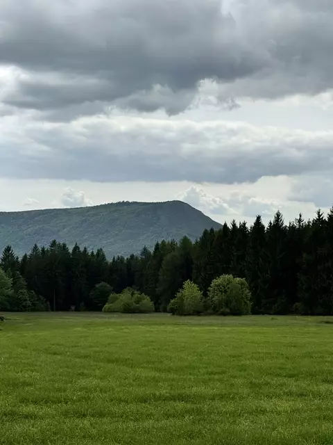 Ausblick auf den markanten Peilstein Gipfel mit 1061m Höhe | Foto: Franz Dörr