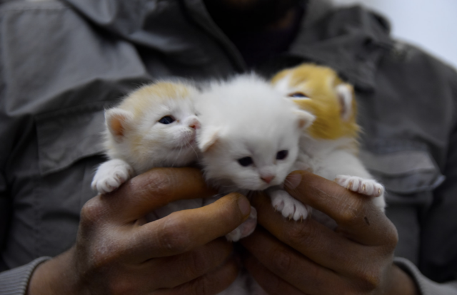 Foto: Joesef Key/Unsplash