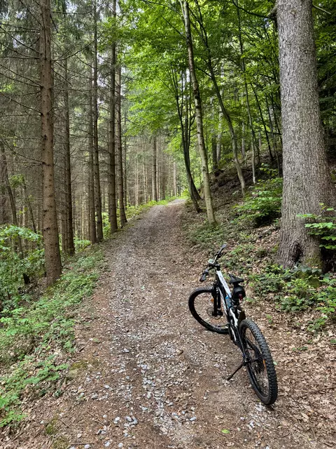 Auffahrt auf der alten Fürnberg´schen Poststraße aus dem 18. Jh.  | Foto: Franz Dörr