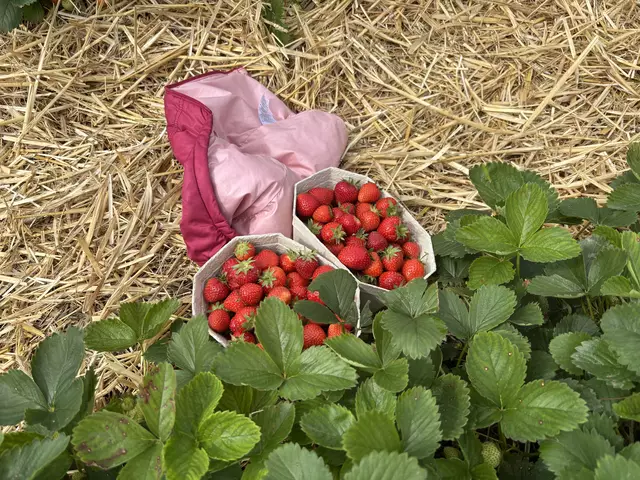 Foto: MeinBezirk