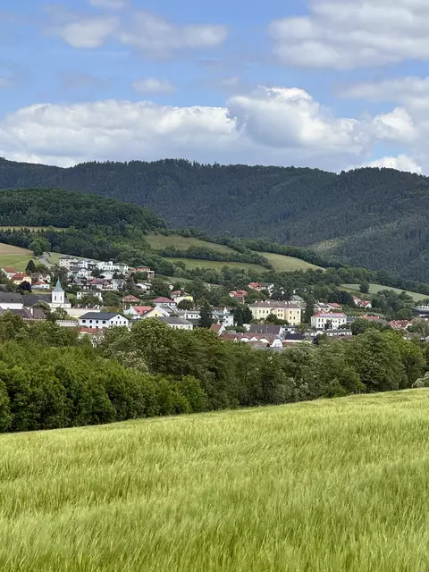 Waldausfahrt mit Pöggstall im Hintergrund | Foto: Franz dörr