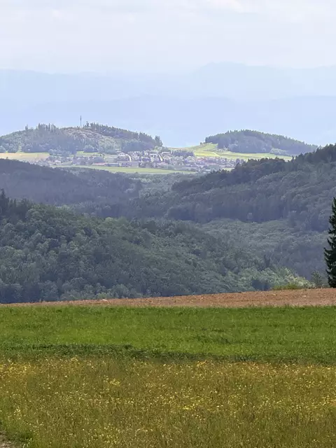 Blick von Ulrichschlag ca. 8 Kilometer Luftlinie nach Münichreith | Foto: Franz Dörr