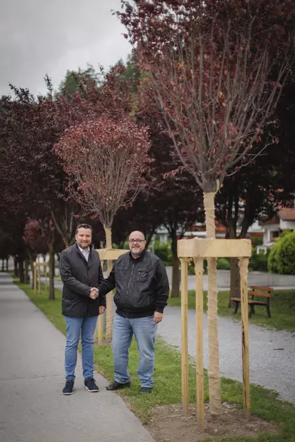 Bgm. Benedikt Lentsch und Ausschussobmann Christoph Kohler neben den neuen Bäumen. | Foto: Preschern