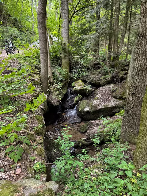Loibersdorfer Bach  | Foto: Franz Dörr