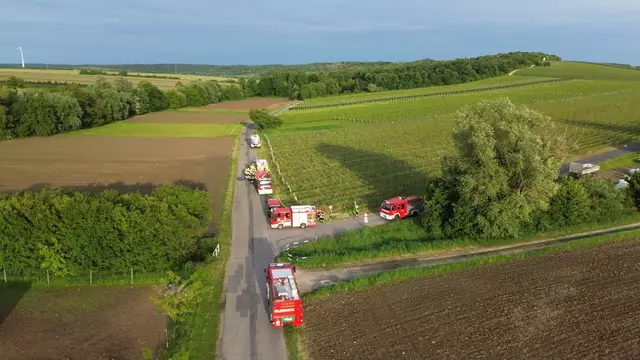 Feuerwehrmitglieder aus fünf Wehren trainieren gemeinsam für den Ernstfall im Waldgebiet bei Horitschon. | Foto: FF Horitschon