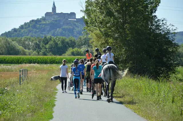Foto: Hof Wunderkind