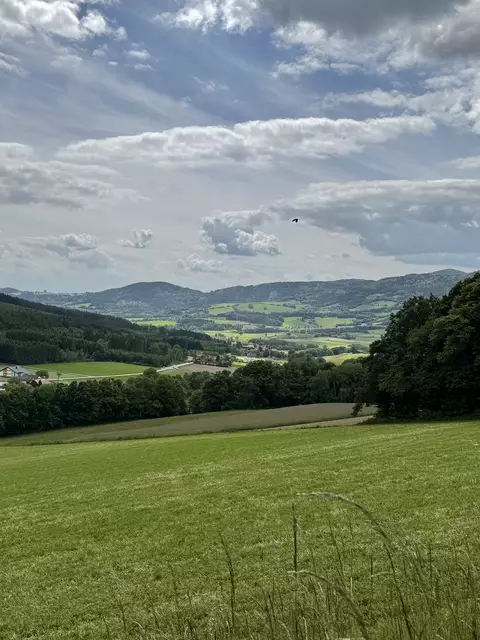 Im SW das wunderschöne offene Yspertal | Foto: Franz Dörr