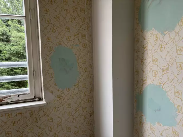 Auch das Stiegenhaus und die Fenster sollen bei der Sanierung erneuert werden. | Foto: Lisa Kammann/MeinBezirk