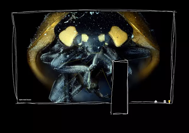 Visualisierung einer interaktiven 2.5D Installation, bei der Lichtrichtung und Lichthärte durch die Besucher:innen steuerbar sind | Foto: Michael Bachhofer