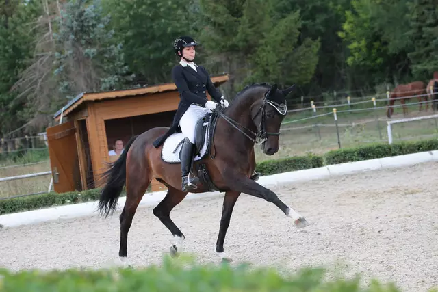 Zum ersten Mal findet am 28. Juni 2025 in St. Thomas ein nationales Dressurturnier bis zur Klasse LM statt. | Foto: Schefbänker