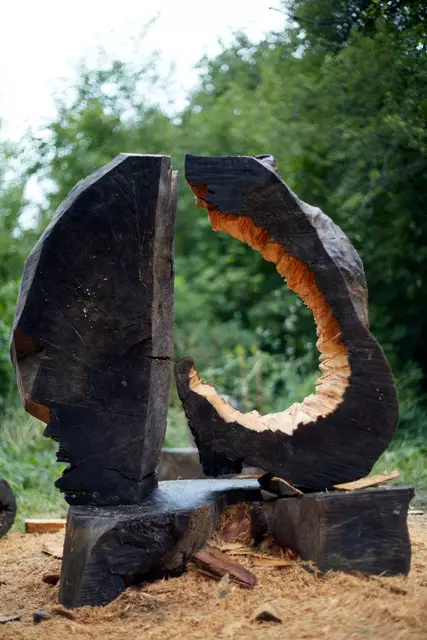 Daniel Nuderscher "Tactile Memory / Pain" | Foto: Daniel Nuderscher