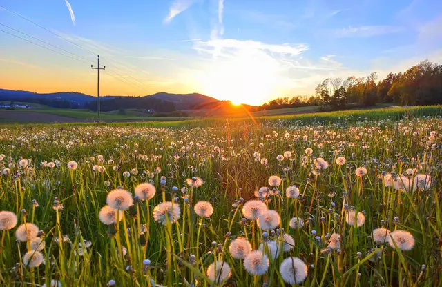 Abendstimmung im Bezirk Rohrbach | Foto: Sabine L