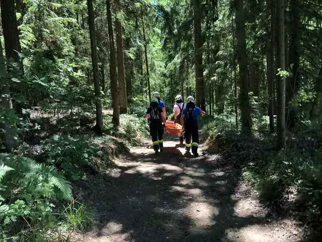 Feuerwehrleute der FF Steinberg transportieren die verletzte Person mittels Korbtrage zum Krankenwagen. | Foto: FF Steinberg