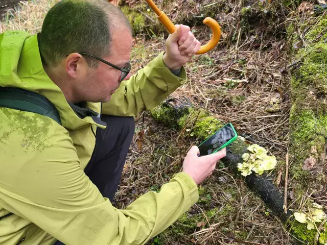 Das Regenwetter hielt Martin Winter nicht davon ab, für die City Nature Challenge Natur- und Artenvielfalt zu beobachten.  | Foto: Flechl