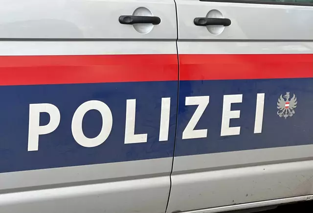 Der Jugendliche wurde festgenommen. (Symbolfoto) | Foto: Matthias Röder / dpa / picturedesk.com