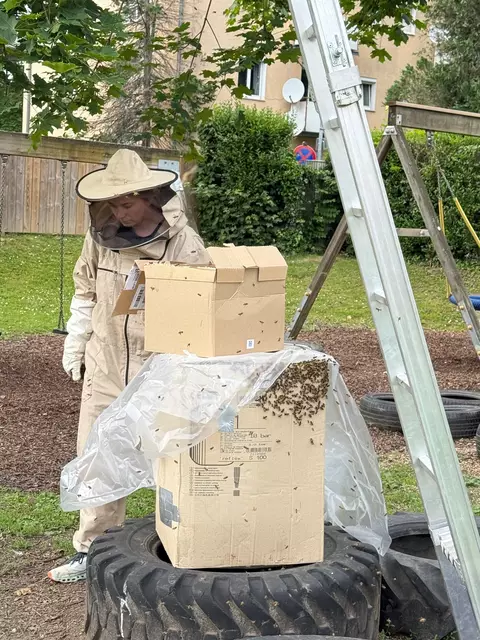 Imkerin Kristina Flecker, Mitglied der FF Voitsberg, siedelte den Bienenschwarz um. | Foto: FF Voitsberg