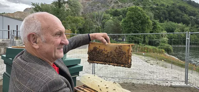 Die Steiner Bau GesmbH unterstreicht ihr Engagement für ökologische Verantwortung mit einem besonderen Projekt: Gemeinsam mit dem Imker Konrad Mayer wurde ein nachhaltiges Bienenprojekt auf dem Firmengelände realisiert. | Foto: Walter Roscher