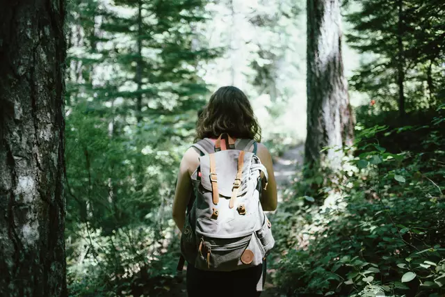 Chronischer Stress beeinträchtigt nicht nur die Psyche, sondern auch die körperliche Gesundheit. Eine Möglichkeit, diesen abzubauen, findet sich bereits vor den Toren Wiens. (Symbolbild) | Foto: Jake Melara/Unsplash