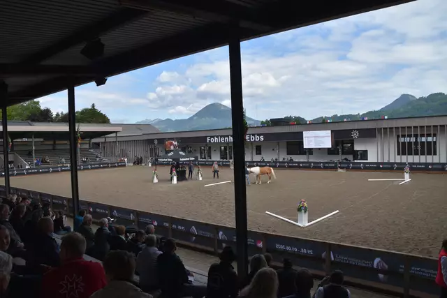 Die größte Pferderasseschau der Welt, die Haflinger Weltausstellung 2025, findet dieser Tage in Ebbs statt.  | Foto: Barbara Fluckinger