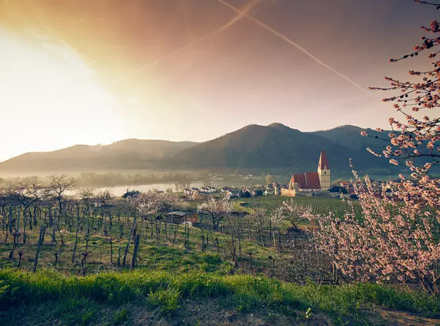 Mit dem Start der Sommersaison richtet sich der Blick bereits nach vorne. | Foto: Niederösterreich Werbung/ Andreas Hofer
