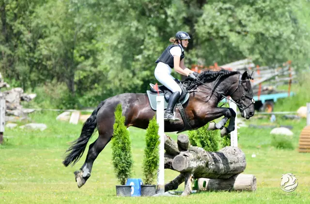 Piesendorf lädt zu einem Vielseitigkeitsturnier ein (Im Bild die Teildisziplin Geländeritt) | Foto: URC Waidach