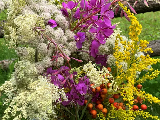 "Hildegard"-Kräuter. | Foto: Brigitte Gaisböck