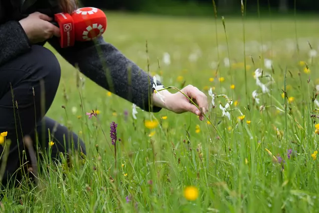 Foto: Stefan Schubert